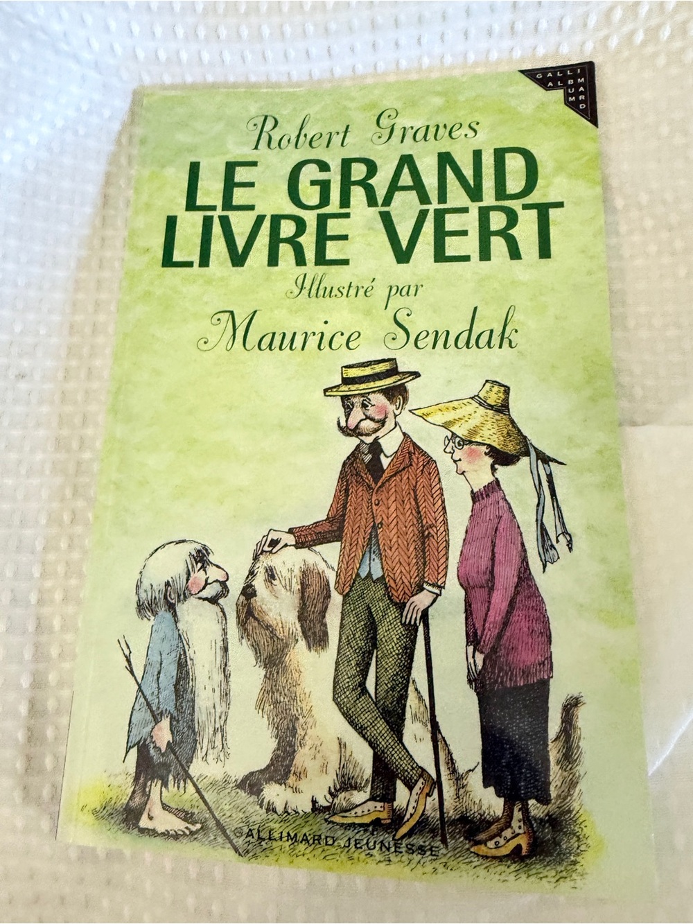 Le Grand Livre Vert by Robert Graves - Green Illustrated Kids Book